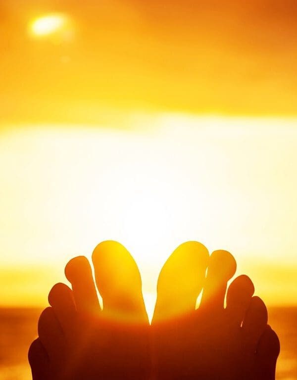 Summer Diffuser Blends – Beat the Heat with 3 Refreshing Aroma Recipes
